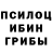 Галлюциногенные грибы Psilocybine cubensis Gartner_Vladislav