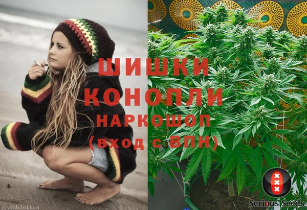сатива Нязепетровск