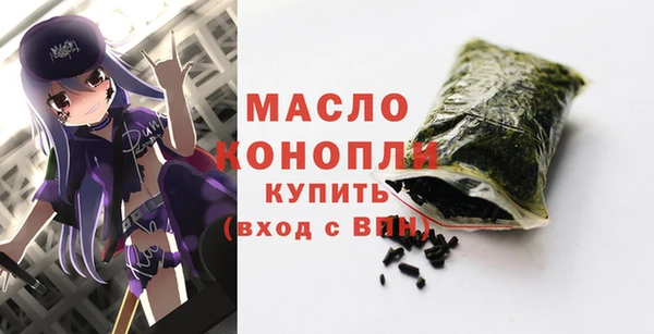дурь Няндома