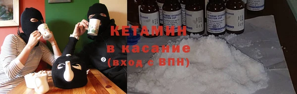 дурь Няндома