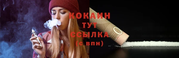 дурь Няндома