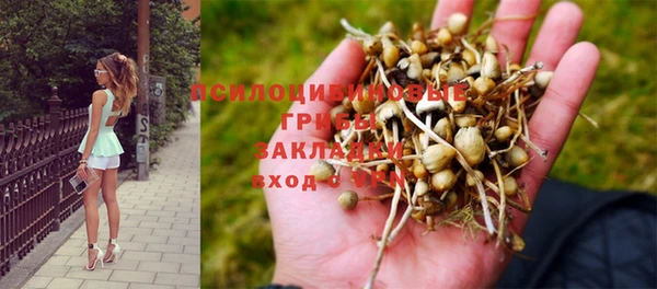 дурь Няндома