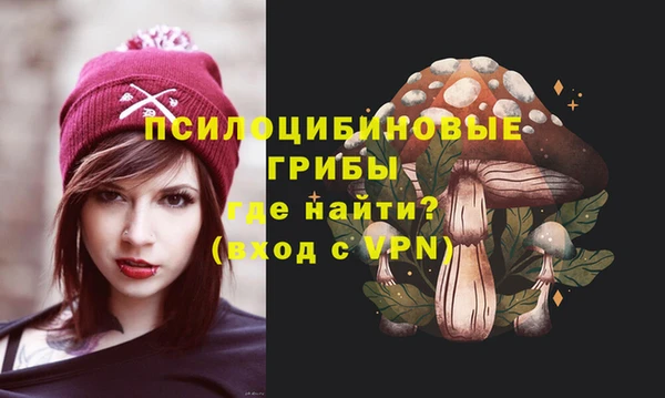 сатива Нязепетровск