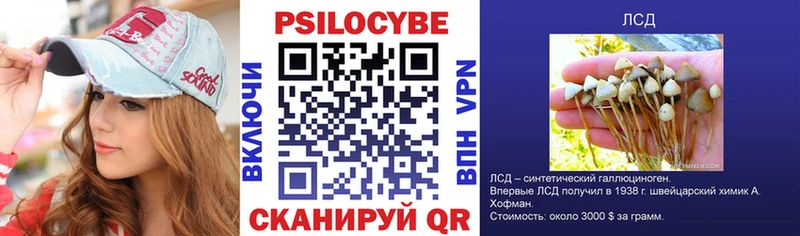 Псилоцибиновые грибы мицелий  где купить наркоту  Сычёвка 